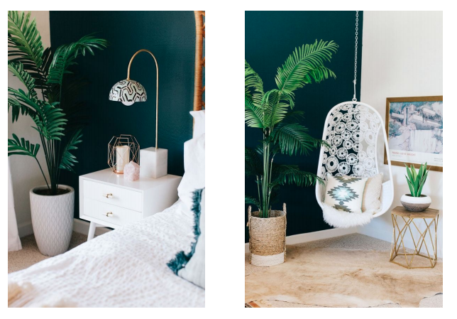 plantes vertes décoration